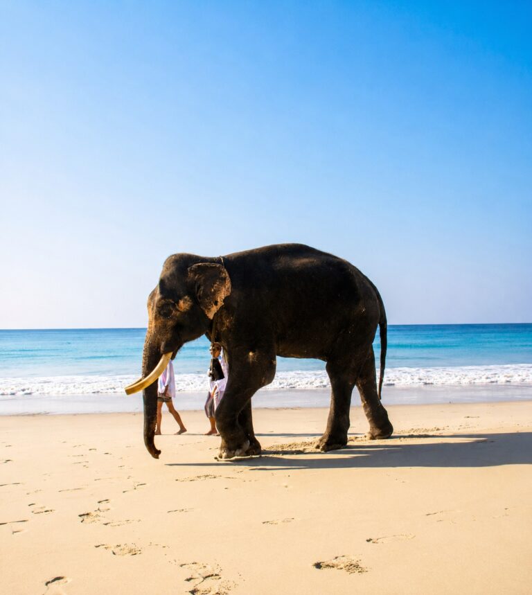ChatGPT Image Jul 2, 2026, 11_43_56 AM-compressed